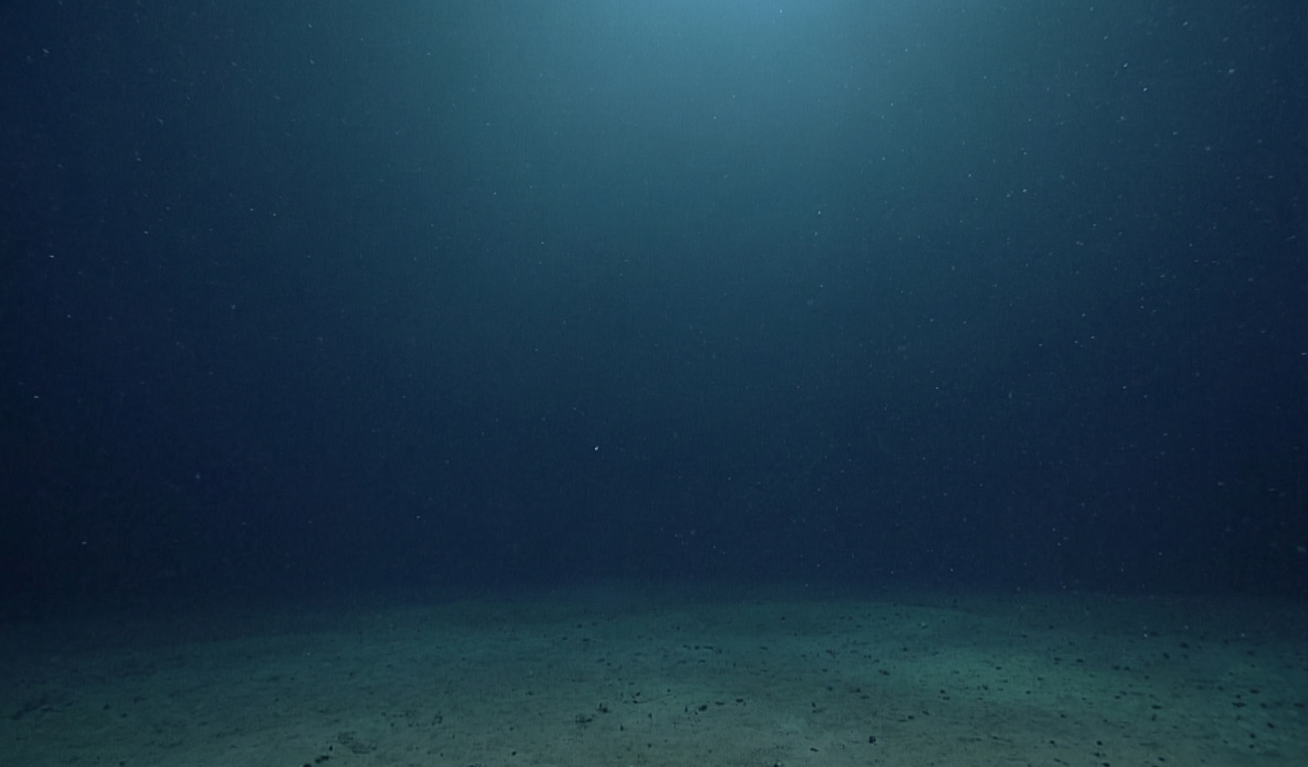 Фоновое изображение секции призыва к действию